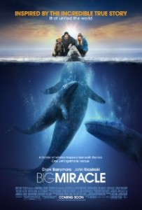 Download Big Miracle (2012) BluRay 720p 650MB Ganool